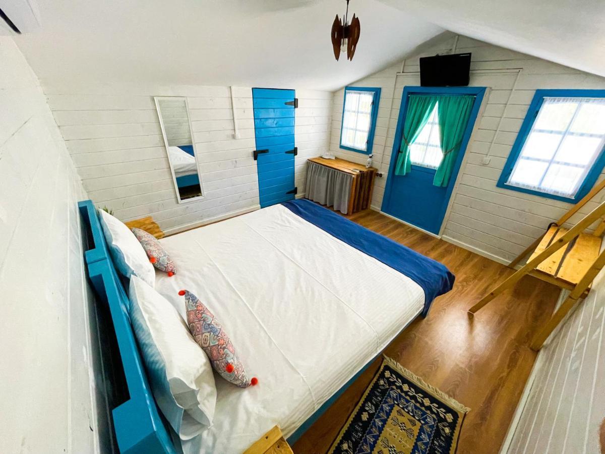 Manu B&B Murighiol Εξωτερικό φωτογραφία