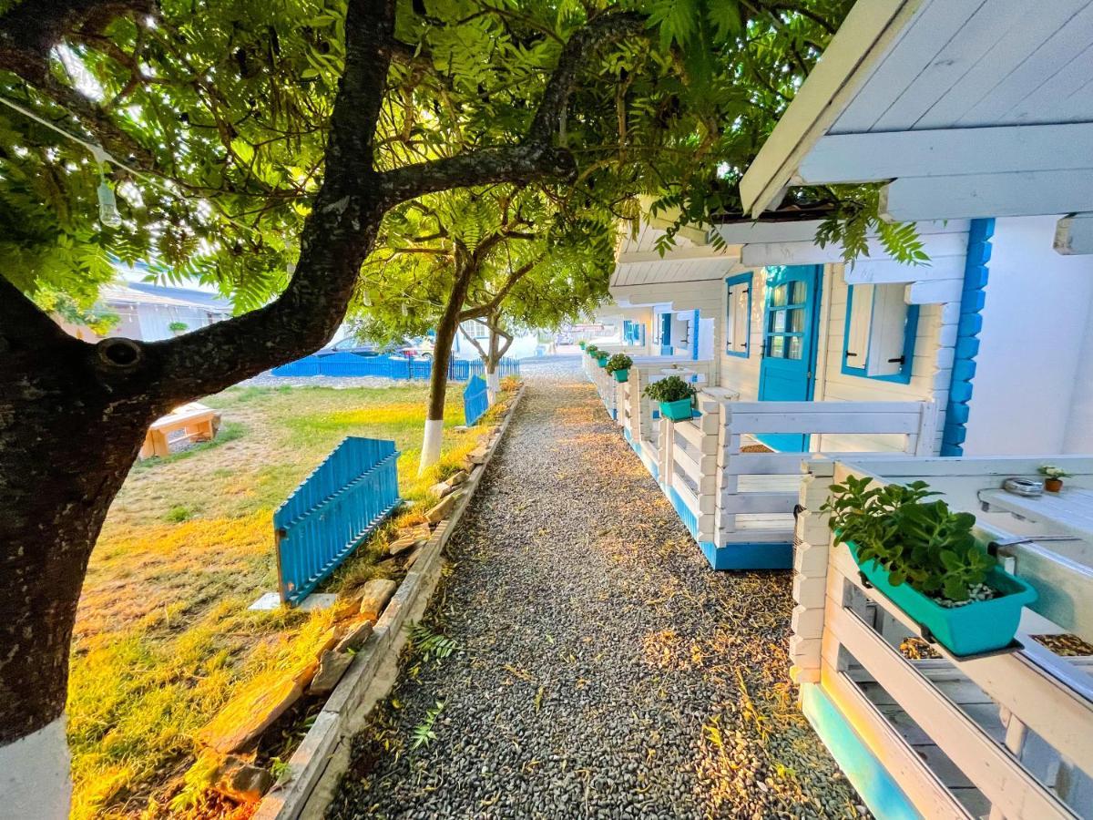 Manu B&B Murighiol Εξωτερικό φωτογραφία